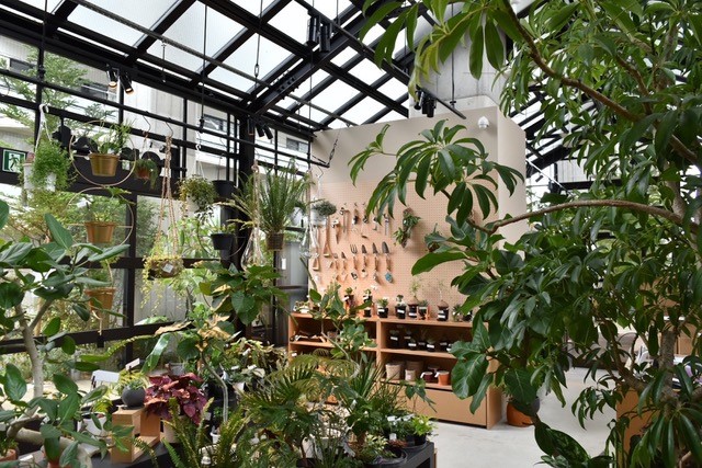 Forest�X�^�b�t​